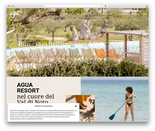 I01TimberTheme theme WordPress - aguaresort.it