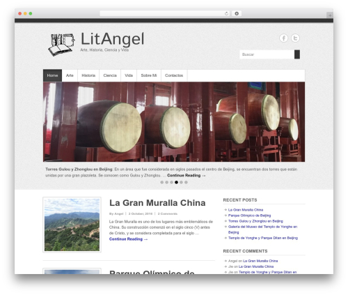 Envira videos WordPress plugin - litangel.com