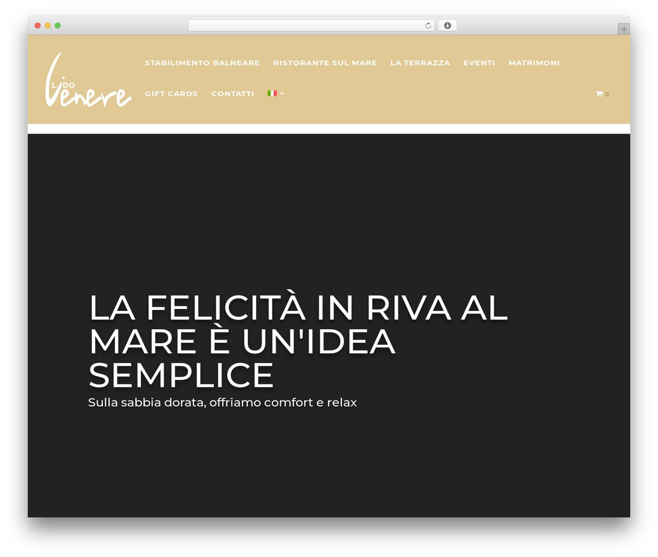 Theme WordPress Divi - lidovenere.com