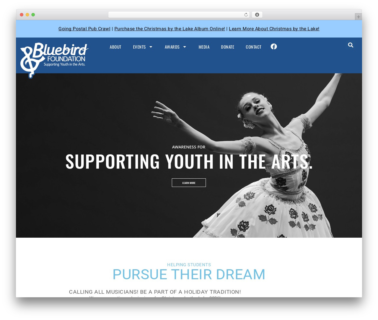 Theme WordPress Basetheme - bluebirdfoundation.org