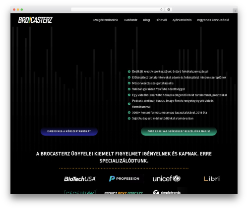 Theme WordPress Hello Elementor - brocasterz.com