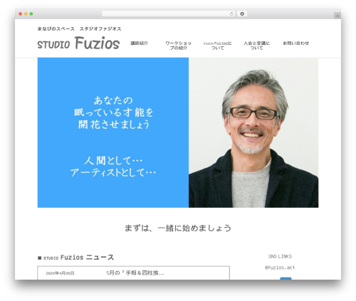 WordPress theme studiofazios - studiofuzios.work
