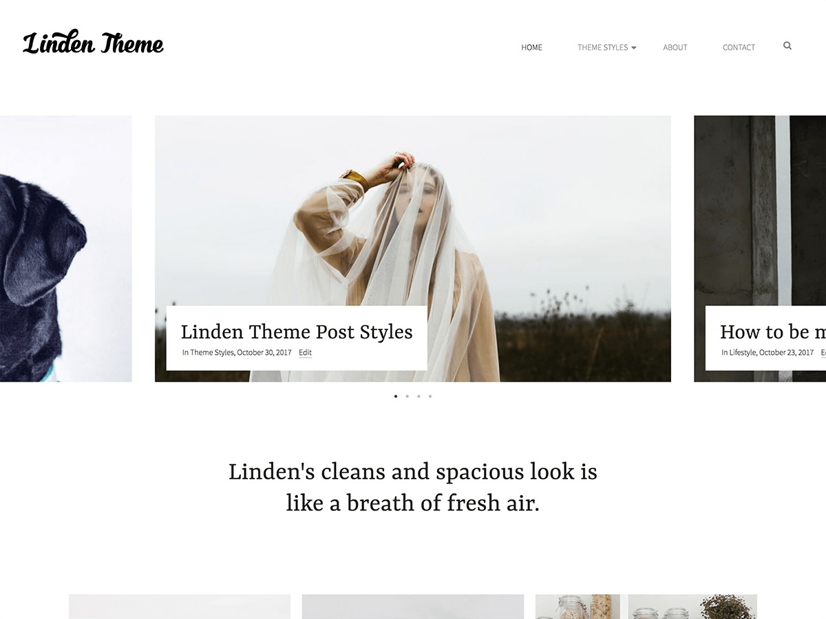 WordPress theme Linden by firstsight_design