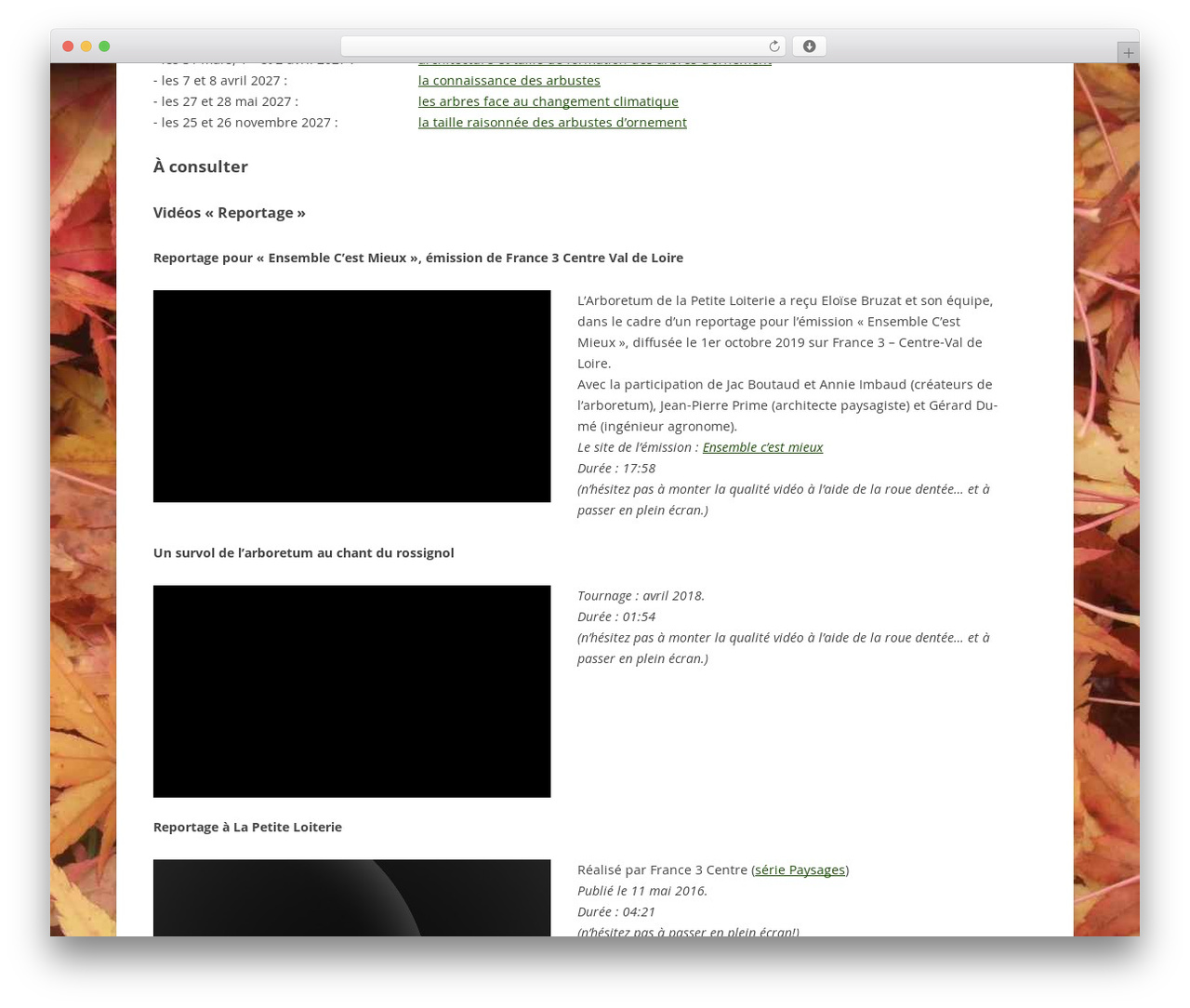 WordPress theme Loiterie - lapetiteloiterie.fr/lpl WordPress theme Loiterie - lapetiteloiterie.fr/lpl
