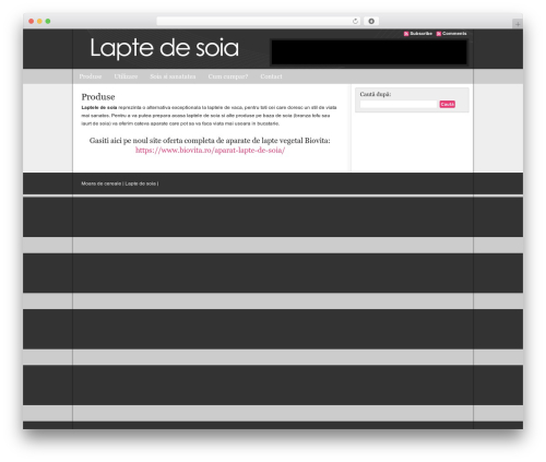 Allure Dark WordPress Theme WordPress website theme - laptedesoia.ro