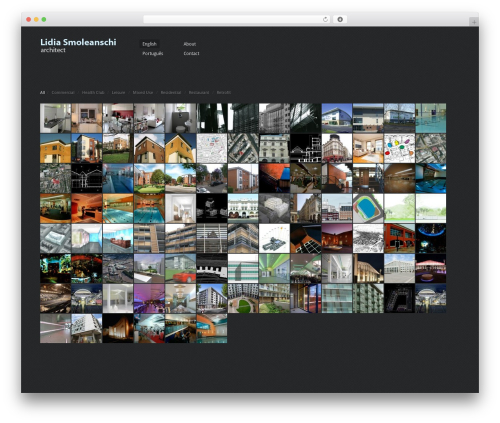 Best WordPress theme Viewfinder - lidiasmoleanschi.com