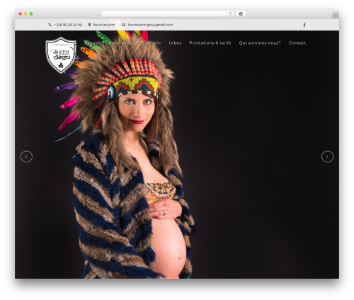 Capella WordPress theme - lesvieuxsinges.fr