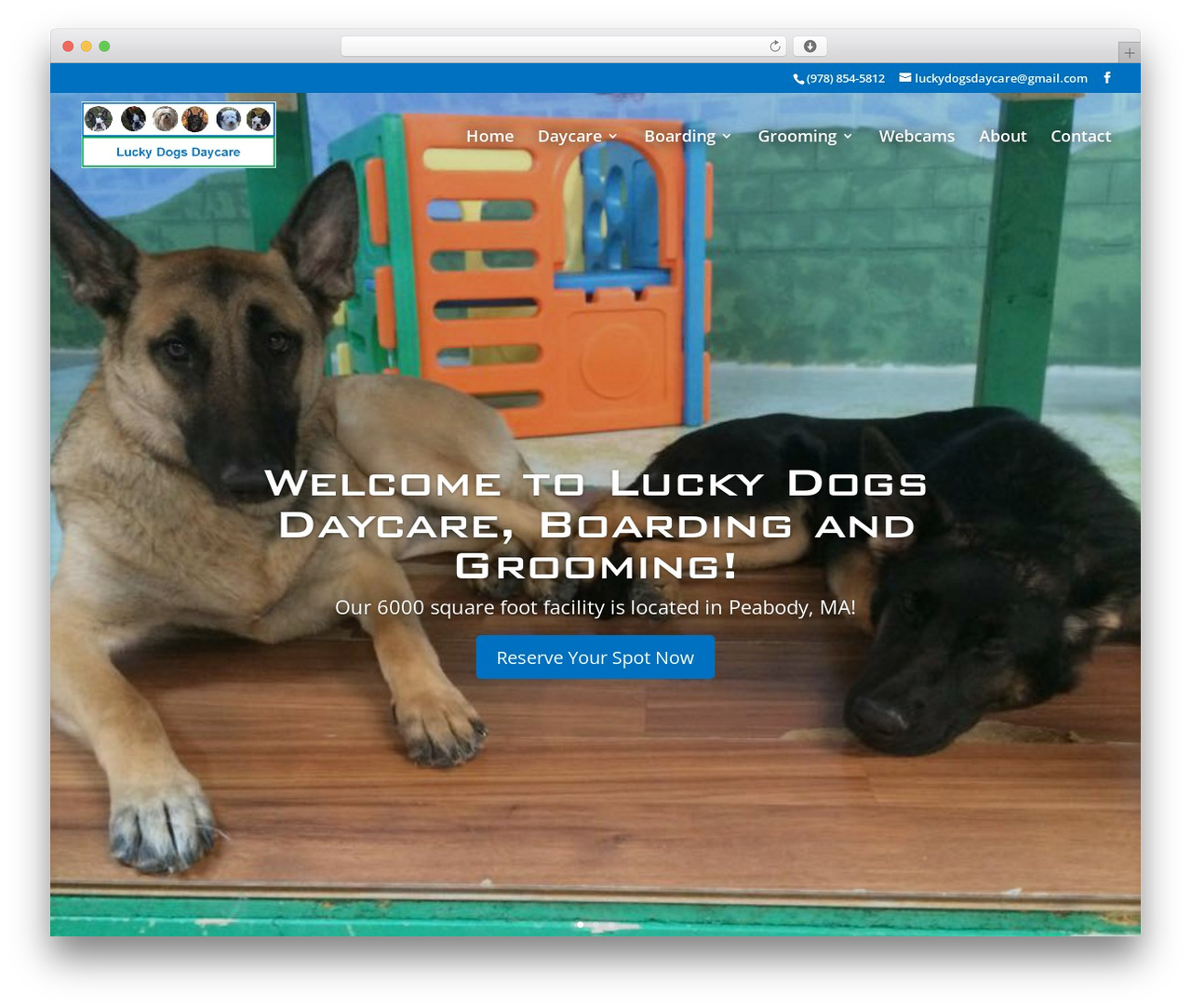 Divi best WordPress theme - luckydogsdaycare.com