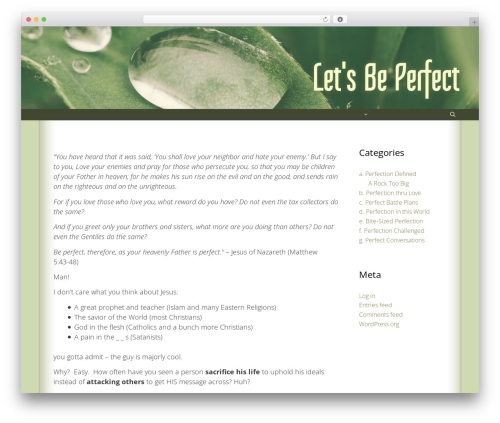 Wordpress support WordPress plugin - letsbeperfect.com