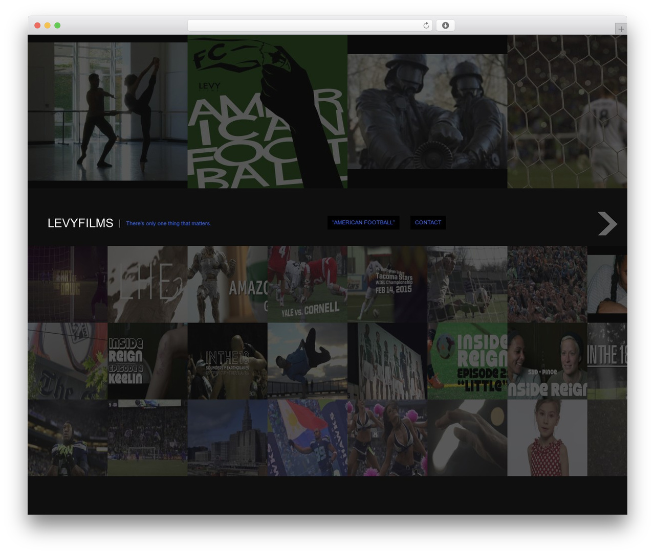 Fullscreen WordPress page theme - levyllc.com