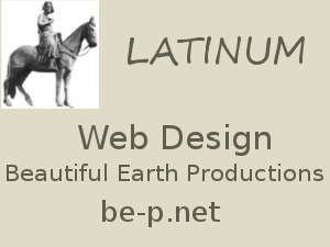 Theme WordPress Latinum by Sancheev Serghei