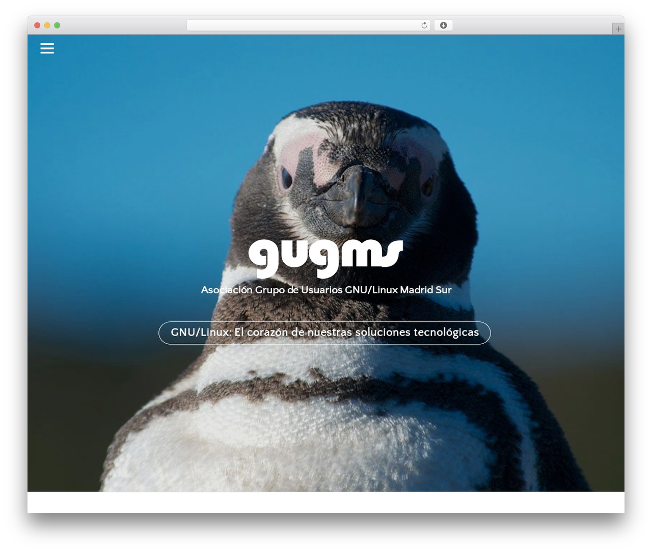 Theme WordPress Themify Simple - gugms.net