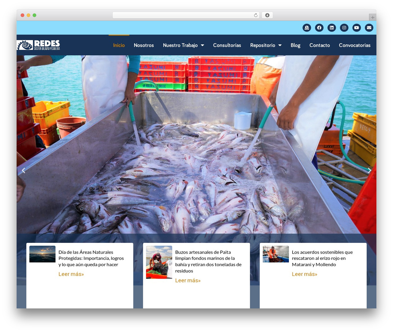 WordPress theme Hello Elementor - redes.pe