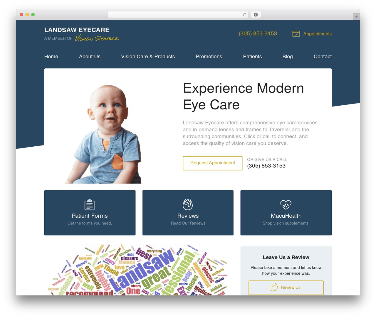 WordPress theme VS Theme #3 - landsaweyecare.com