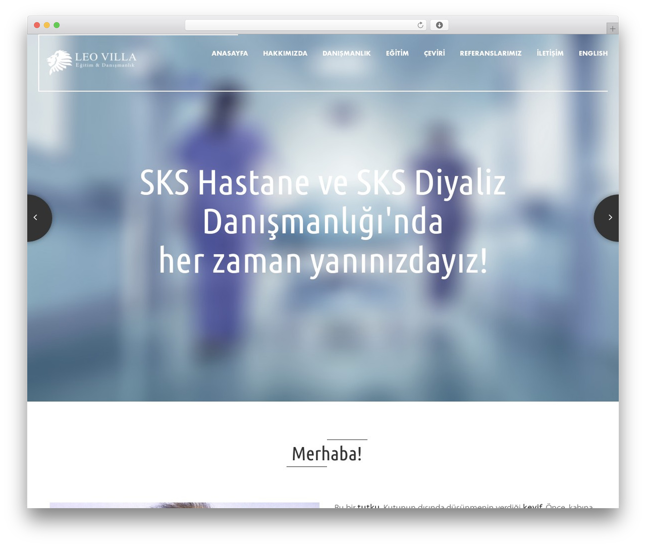 WP theme Axio WP - leovilla.com WP theme Axio WP - leovilla.com