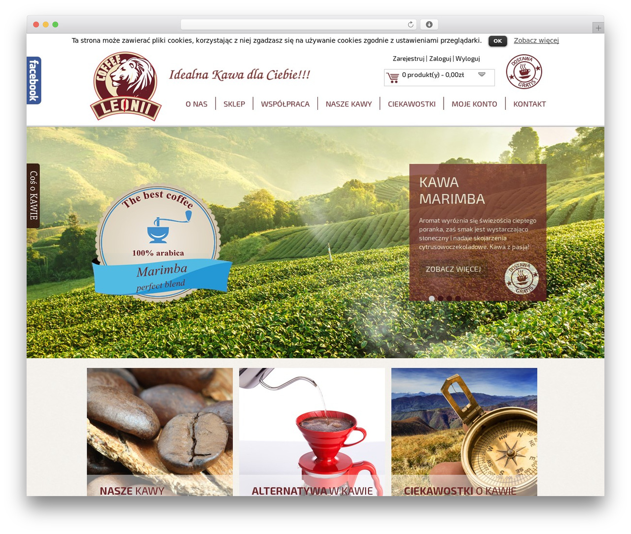 WP theme theme - leonii.pl