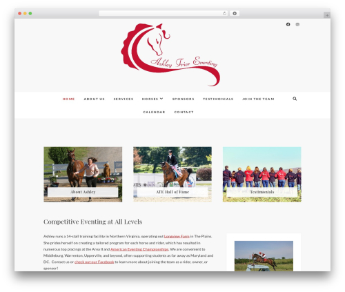 AlterNative WordPress theme - ashleytriereventing.com