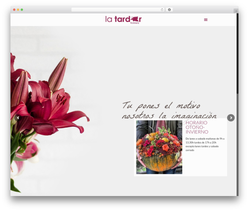 jQuery Masonry Image Gallery (jquery-masonry-image-gallery) free WordPress plugin - latardor.es jQuery Masonry Image Gallery (jquery-masonry-image-gallery) free WordPress plugin - latardor.es