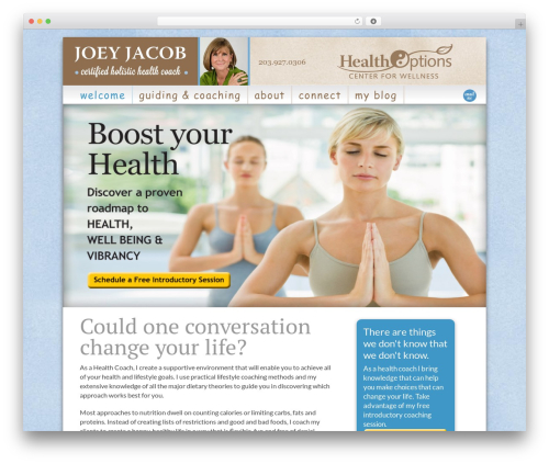 Catalyst WordPress theme - joeyjacob.com