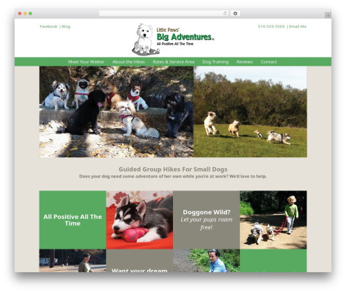 Little Paws WordPress theme - lpba.net
