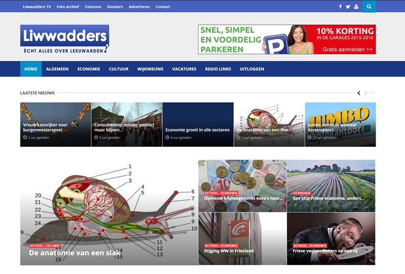 Liwwadders best WordPress theme
