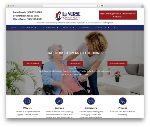 Pharmacy business WordPress theme - lanursehomecare.com