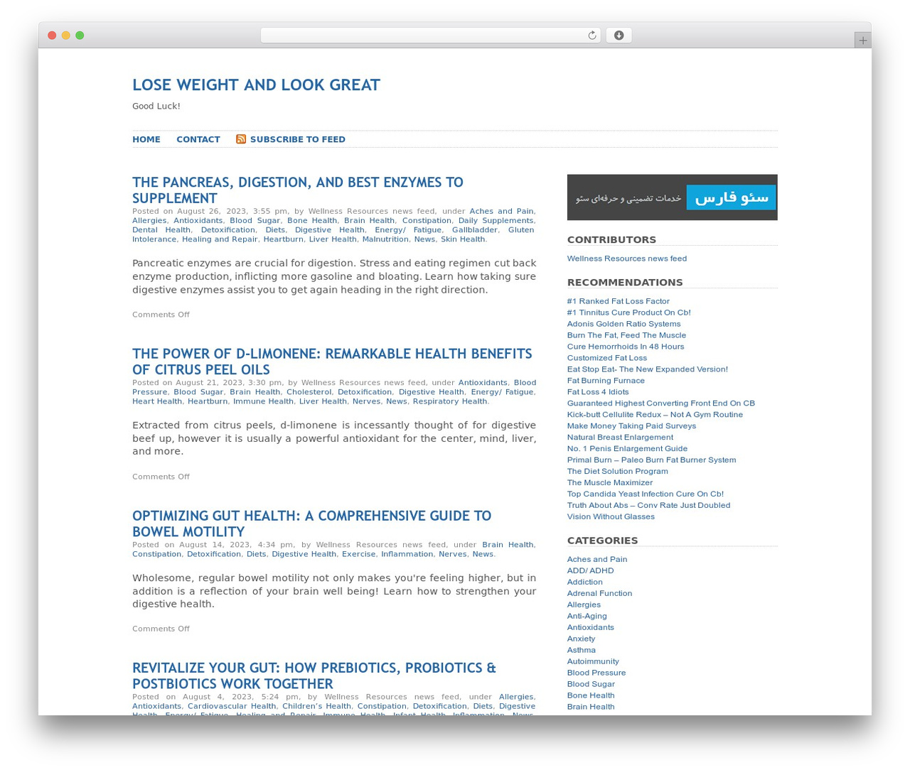 Plainscape WordPress website theme - loseweightandlookgreat.com Plainscape WordPress website theme - loseweightandlookgreat.com