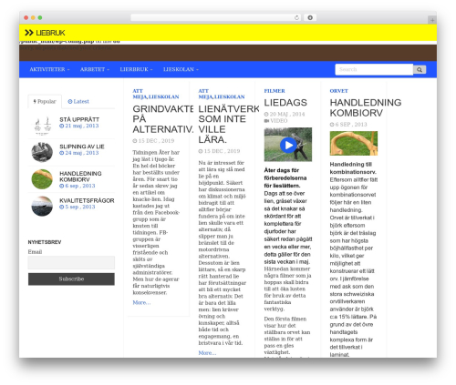 Theme WordPress FULLBY - liebruk.se