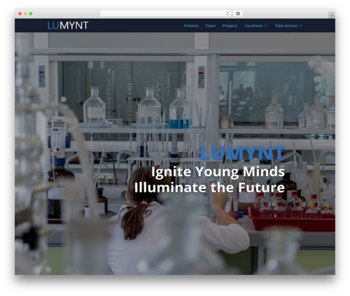 WordPress theme Divi - lumynt.com