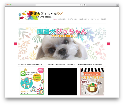 Wp spamfree WordPress plugin - luck-dog.net