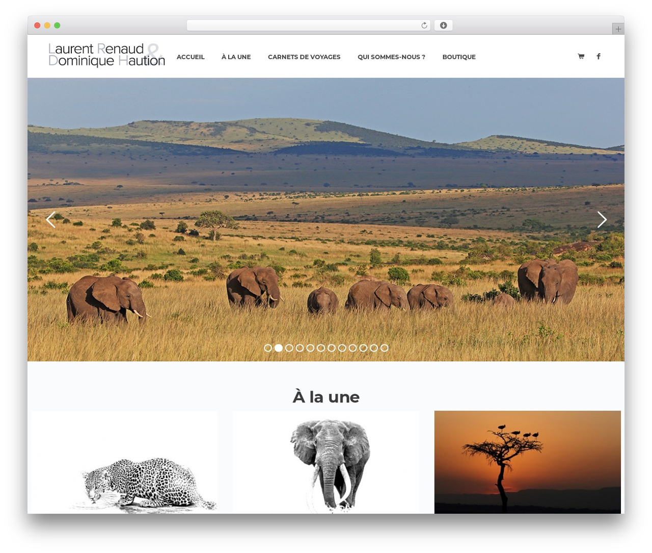 WP theme Lydia - lrdh-photo.com WP theme Lydia - lrdh-photo.com