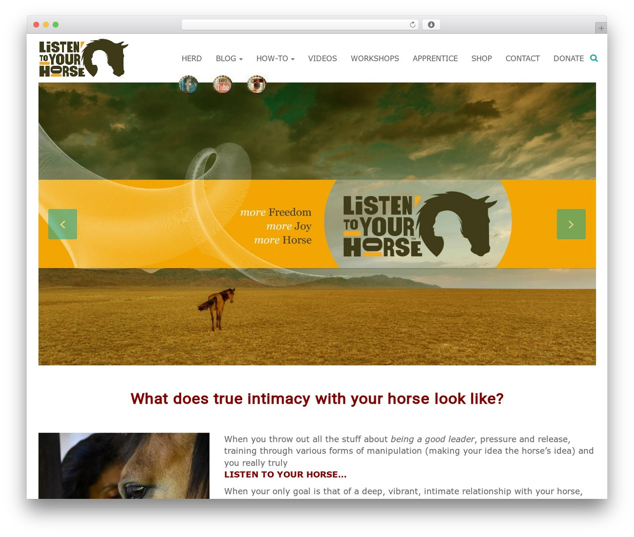 Ample Pro WordPress page theme - listentoyourhorse.com Ample Pro WordPress page theme - listentoyourhorse.com