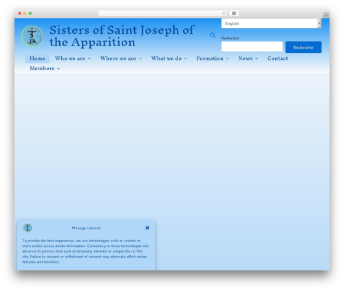Web stat WordPress plugin - stjoseph-apparition.org