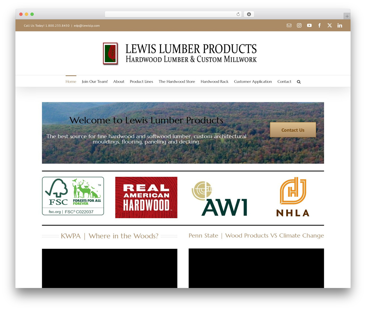 Avada WordPress website theme - lewislp.com