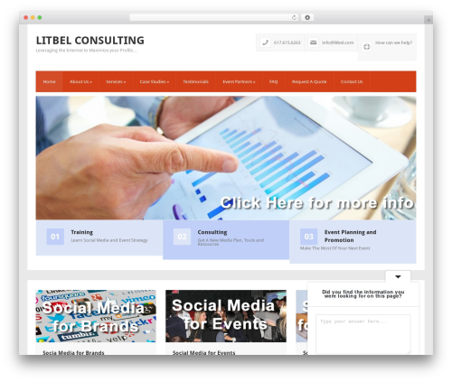 Insider WordPress theme - litbel.com