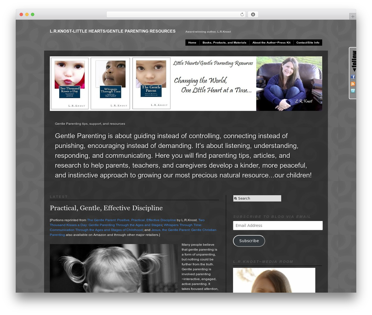 Modularity Lite WordPress website theme - lrknost.com Modularity Lite WordPress website theme - lrknost.com