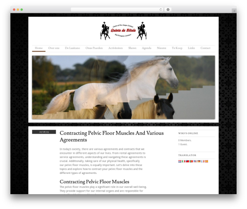 Skirmish WordPress theme design - lusitano.nu