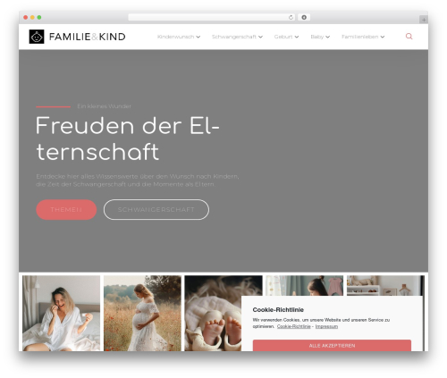 Global plugin elementor customizer WordPress plugin - food-body24.info