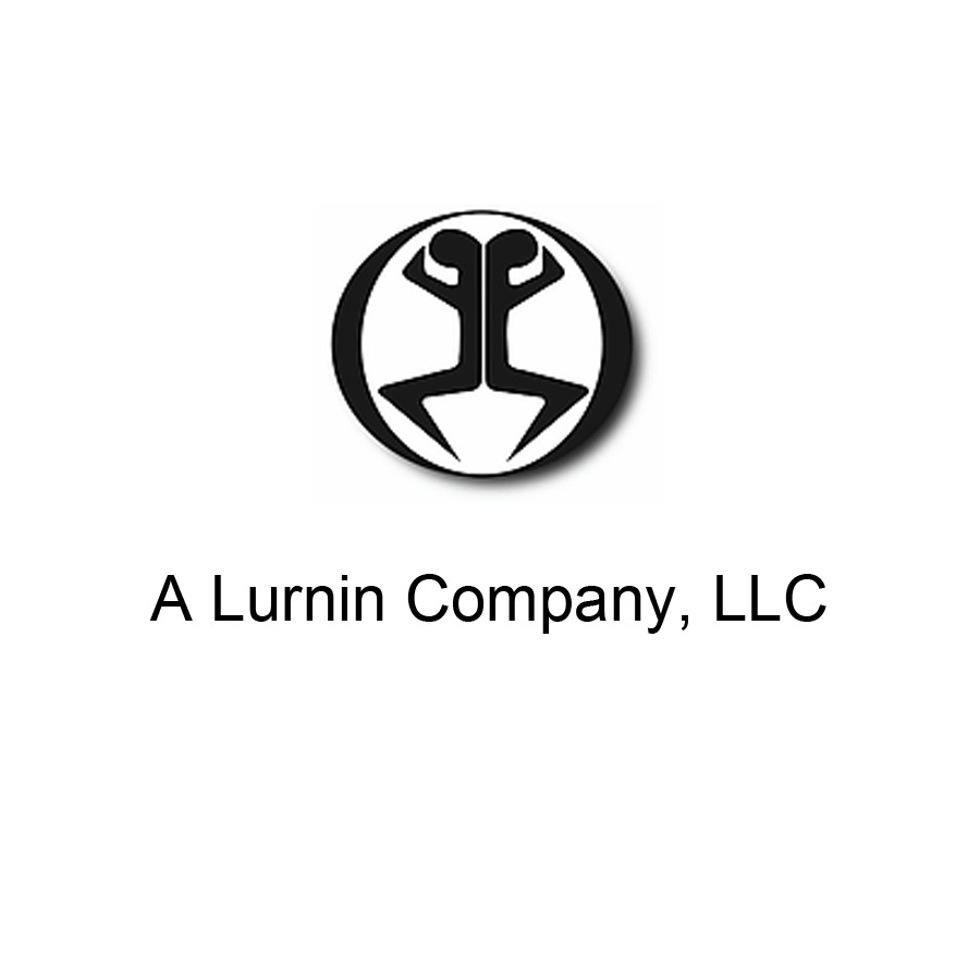 Theme WordPress Lurnin by CP