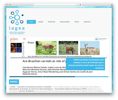 Pretty file list pro WordPress plugin - lagea.com.br
