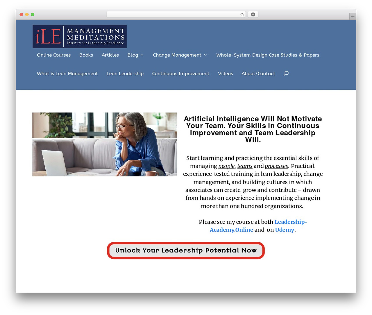 Extra WordPress theme - lmmiller.com