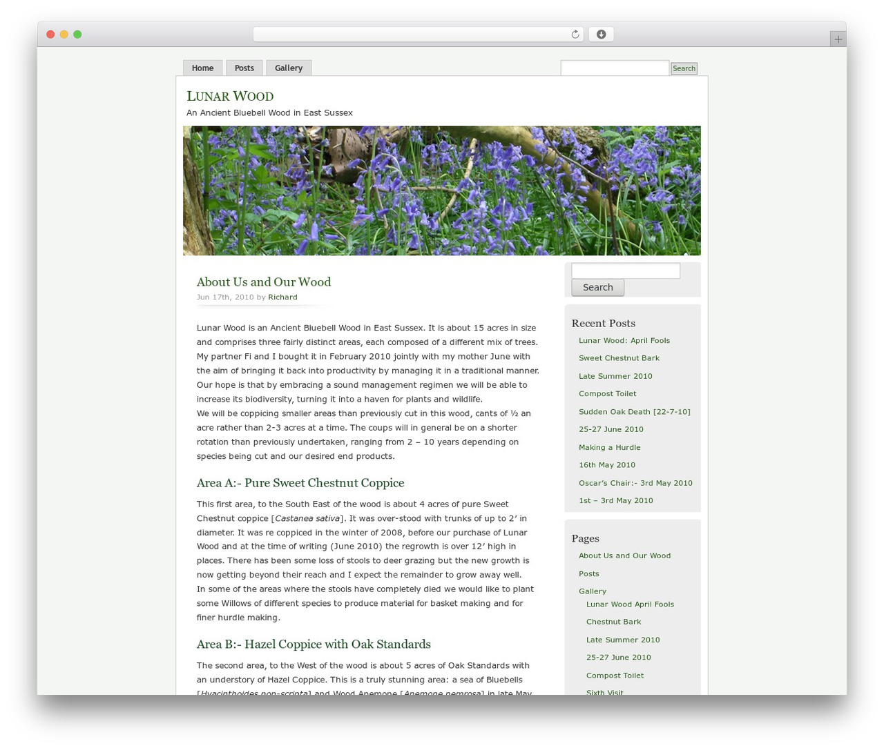 MistyLook theme WordPress - lunarwood.co.uk