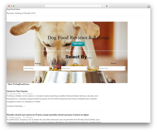 Modernize WordPress theme - dogfood.guru