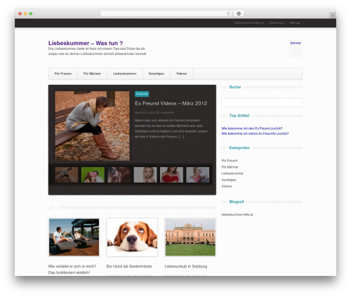 Repro theme WordPress - liebeskummer-wastun.com