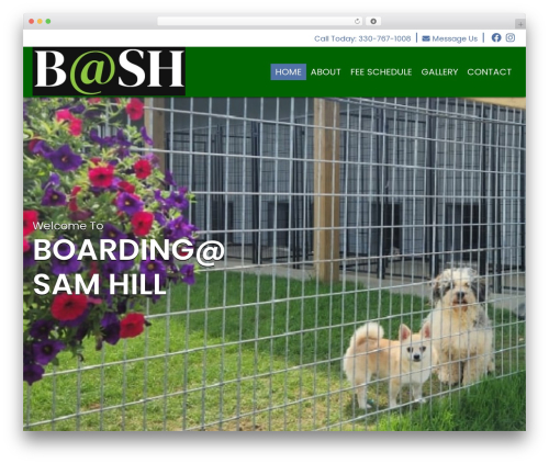 Theme WordPress bash - boardingatsamhill.com