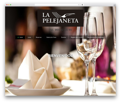 Theme WordPress cooks - lapelejaneta.net