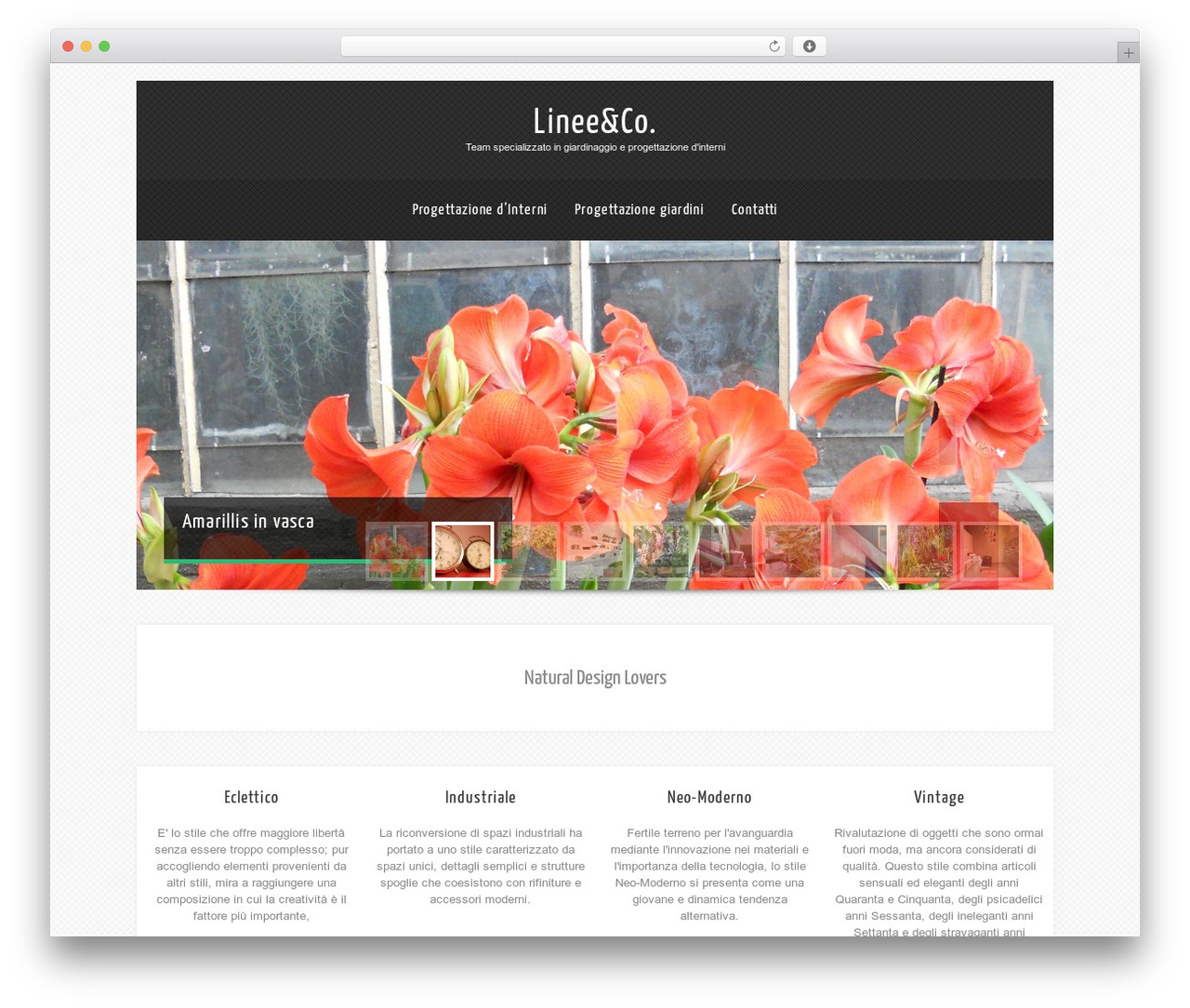Theme WordPress Theron Lite - lineeco.eu