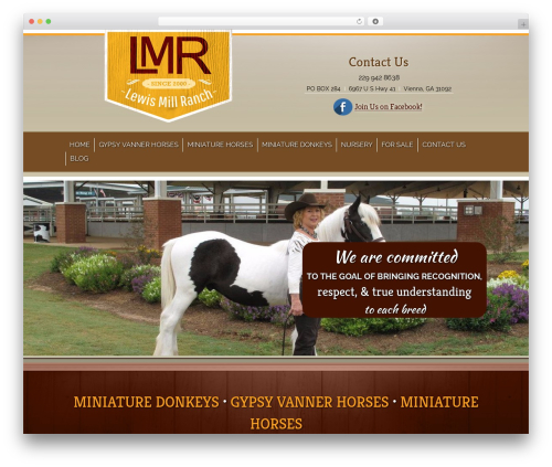 WP theme MSH Responsive (SASS) Theme - lewismill.com
