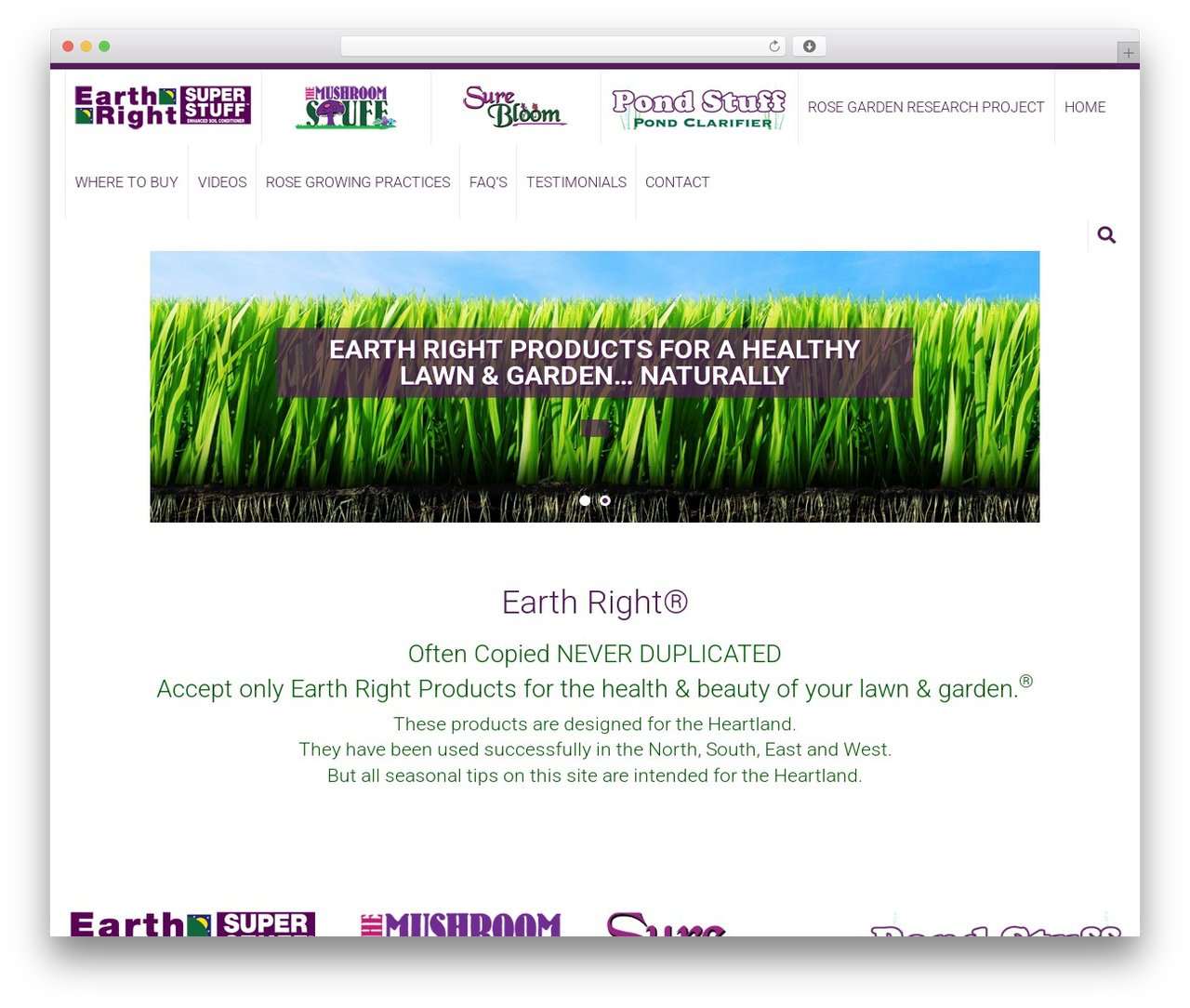 Accesspress Ray Pro WordPress theme design - superlawnstuff.com