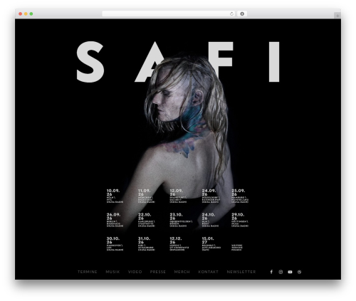 Basic theme shortcodes WordPress plugin - safimusic.com